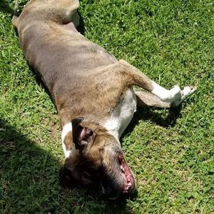 Meet your Posher, Lenny